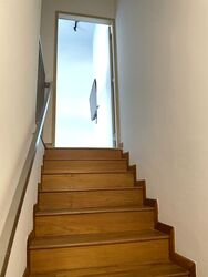Loft @ Rangoon (D8), Apartment #520703461